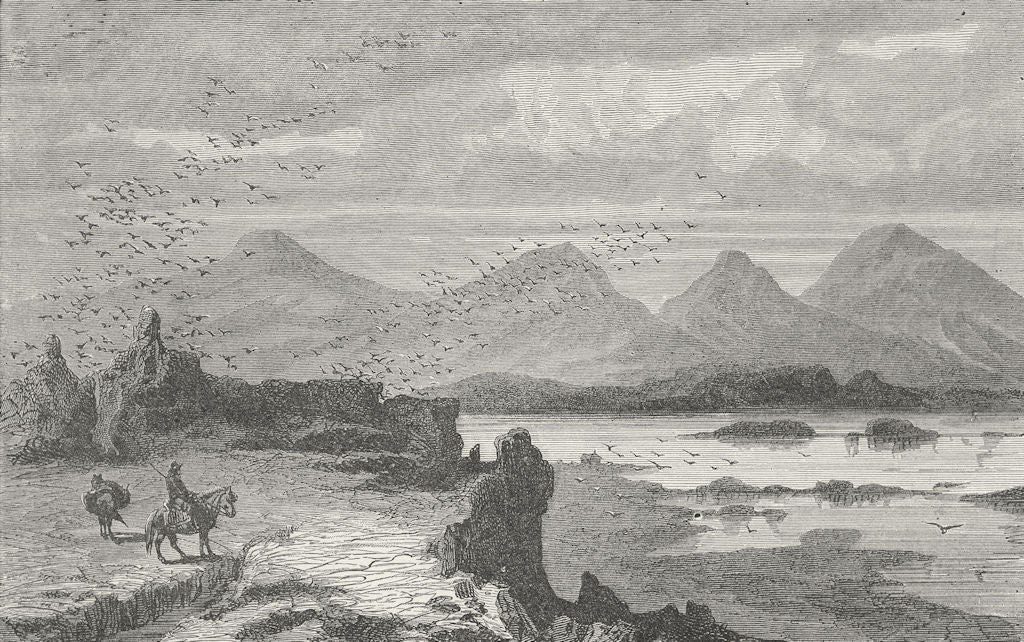 SCOTLAND. Iceland. inner Firth 1880 old antique vintage print picture
